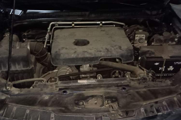 Used Isuzu TAGA 2018 3.0T Two-Wheel Drive Luxury Edition Engine Bay