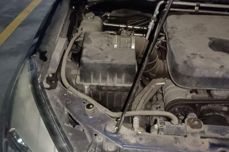 Used Isuzu TAGA 2018 3.0T Two-Wheel Drive Luxury Edition Engine Bay Right