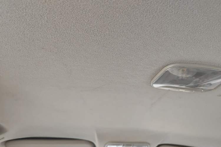 Used Isuzu TAGA 2018 3.0T Four-Wheel Drive Luxury Edition Headliner