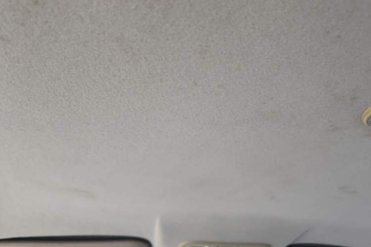 Used Isuzu TAGA 2018 3.0T Two-Wheel Drive Ultra-Luxury Version Headliner