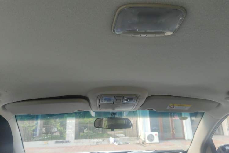 Used Isuzu TAGA  Headliner
