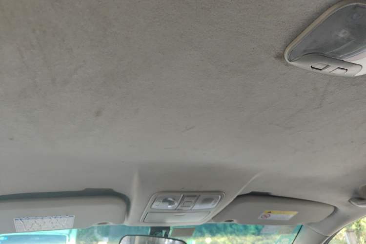 Used Isuzu TAGA 2021 3.0T Diesel Manual 4x4 Value Edition Long Wheelbase 4KH1CT6H1 Headliner