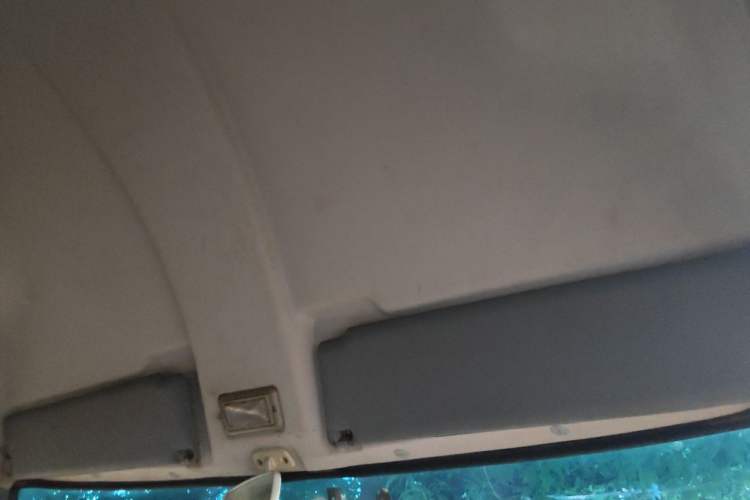 Used Iveco Daily  Headliner
