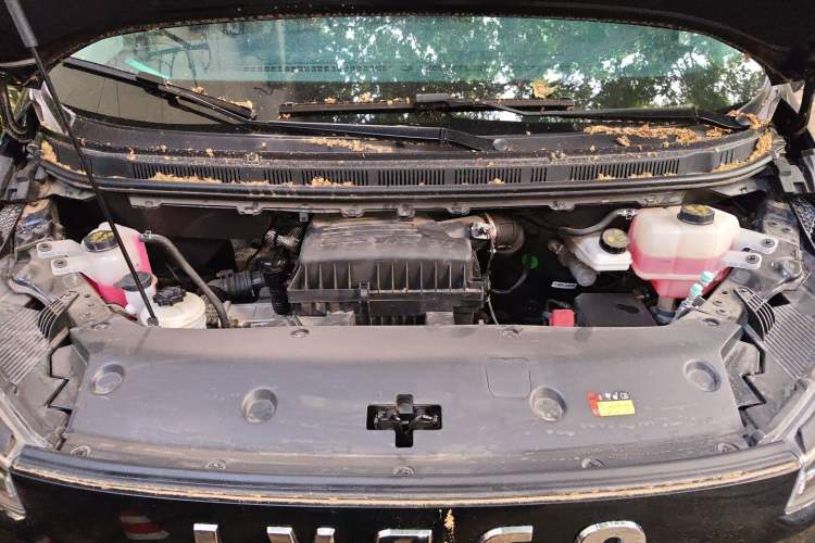 Used Iveco Fidato 2023 C30 Passenger Van 2.0T 110kW Automatic Xingtu Version Low Roof Engine Bay