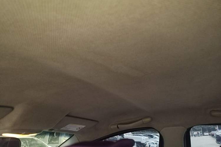 Used JAC Group iEV 2017 iEV4 Luxury Smart Model Headliner