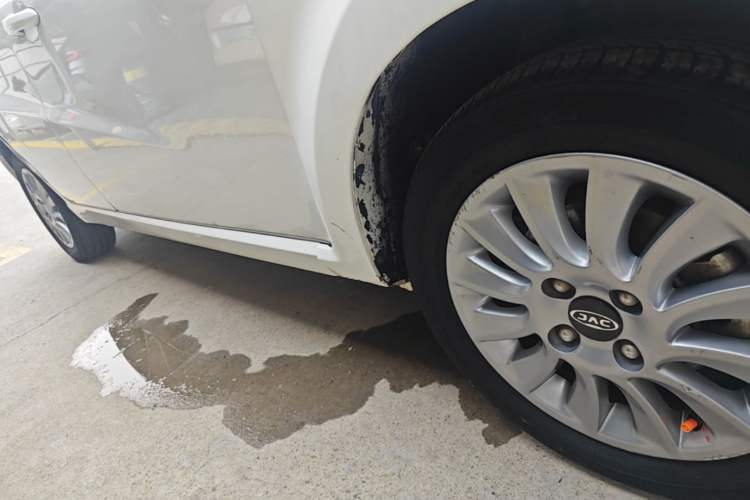 Used JAC Group iEV6E 2019 Upgraded iEV6E Luxury Model Right Side Sill