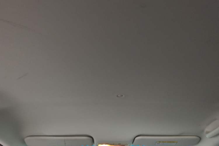 Used JAC Group iEV7 2019 iEV7L Luxury Smart Model Headliner