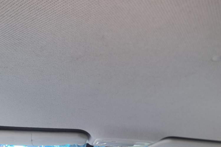 Used JAC Group iEV7S 2019 Luxury Smart Supreme Model Headliner