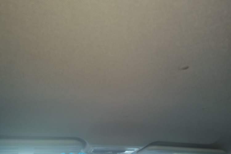 Used JAC Group iEV7S 2019 Luxury Smart Supreme Deluxe Edition Headliner