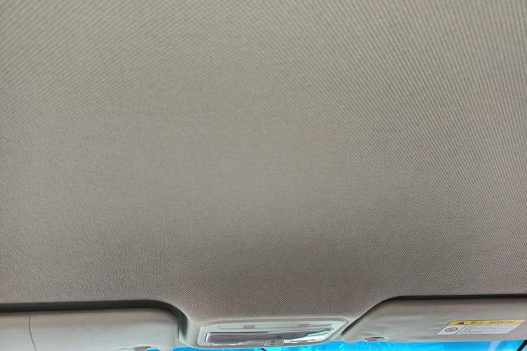 Used JAC Group iEV7S 2019 Luxury Smart Model Headliner