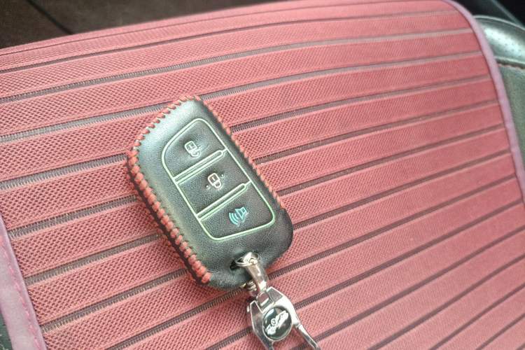 Used JAC Group iEV7S 2019 Luxury Smart Model Vehicle Key