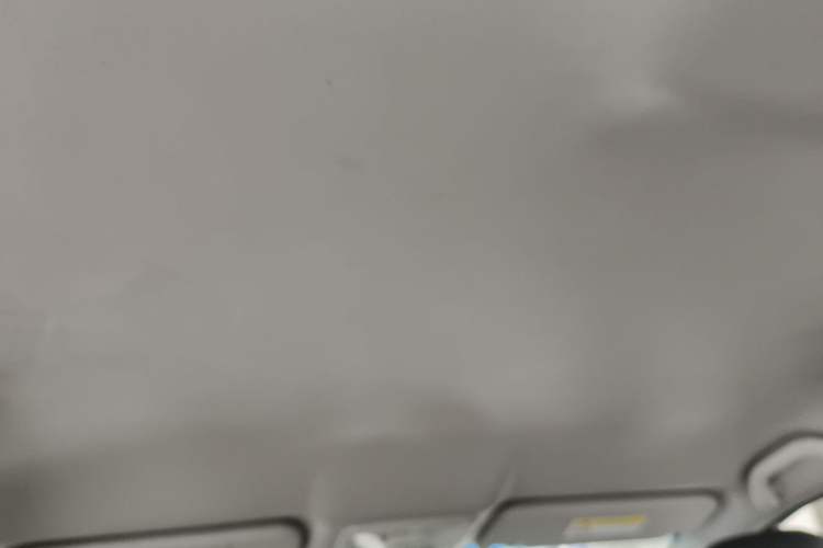 Used JAC Group iEVA50 2018 Luxury Model Headliner