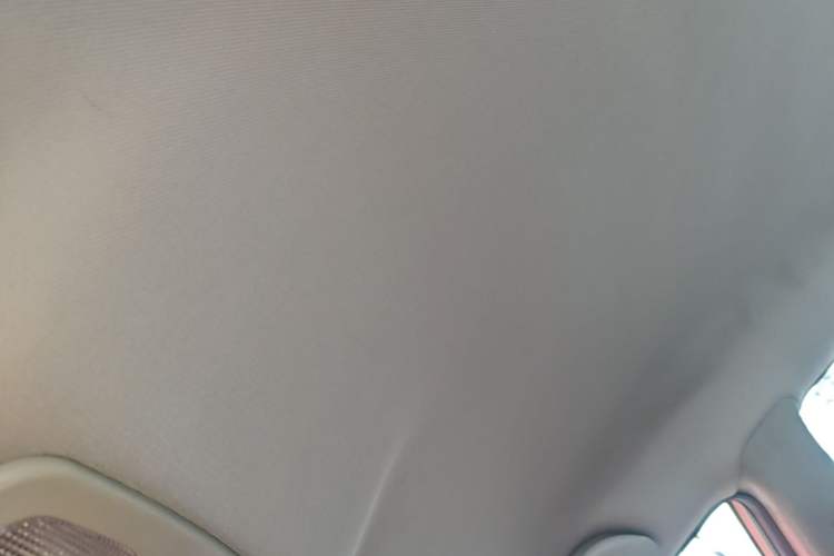 Used JAC Group iEVA50 2018 Luxury Model Headliner