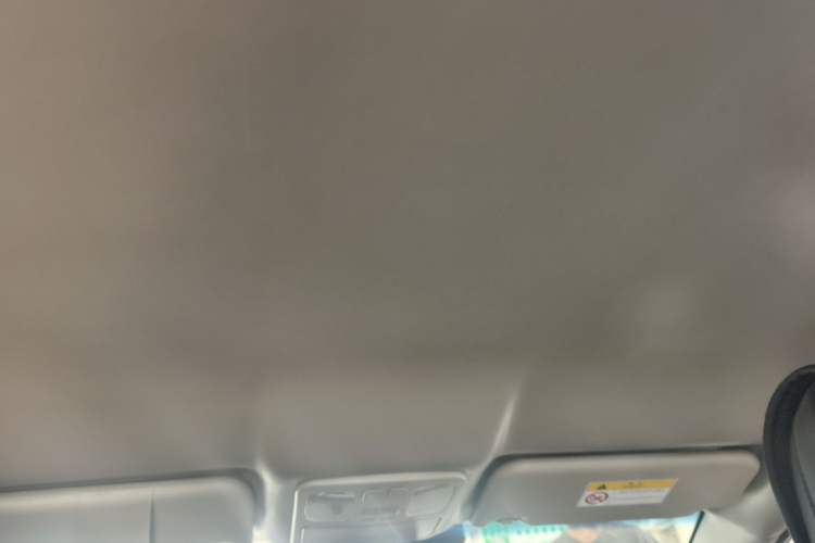 Used JAC Group iEVA50 2018 Luxury Model Headliner