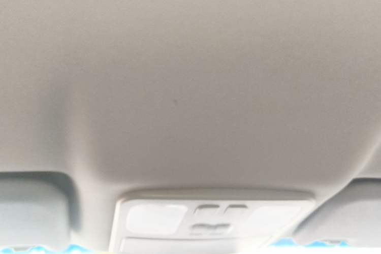 Used JAC Group iEVA50 2021 Battery-Swap Comfort Version Headliner
