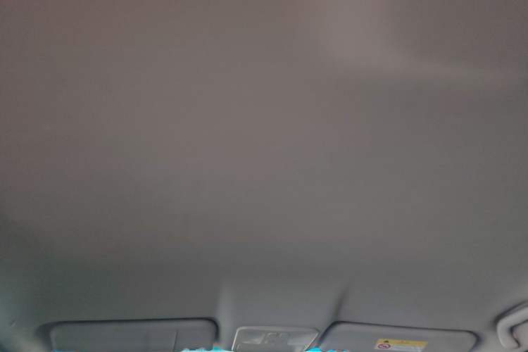 Used JAC Group iEVA50 2021 Battery-Swap Pleasant Edition Headliner