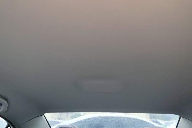 Used JAC Group iEVA50 2021 Battery-Swap Comfort Version Headliner