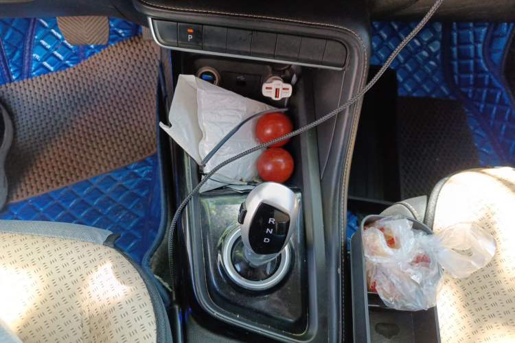 Used JAC Group iEVS4 2019 Revised Version Luxury Smart Edition Gear Lever
