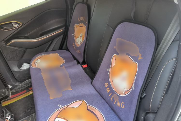 Used JAC Group iEVS4 2019 Luxury Smart Enjoyment Model Left Rear Seat