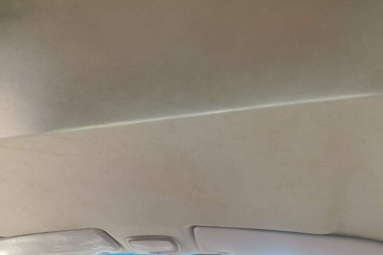 Used JAC Group Refine 2015 2.0L Shuttle Gasoline Long-Wheelbase Comfort Version HFC4GA3-3D Headliner