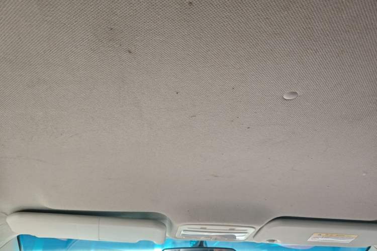 Used JAC Group Refine S2 2015 1.5L Manual Luxury Smart Model Headliner