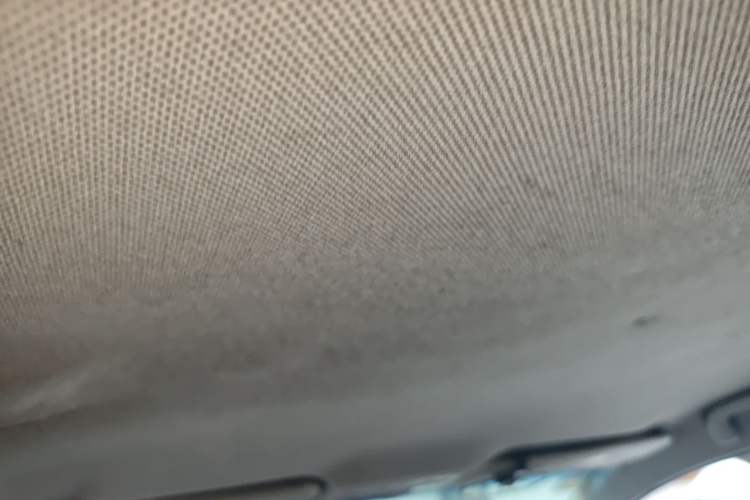 Used JAC Group Refine S2 2016 1.5L CVT Luxury Model Two-Tone Version Headliner