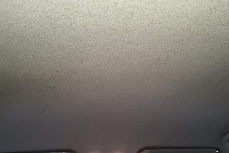 Used JAC Group Refine S3 2014 1.5L Manual Luxury Model Headliner