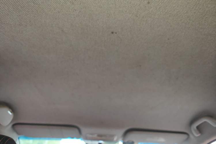 Used JAC Group Refine S3 2014 1.5L Manual Luxury Smart Model Headliner