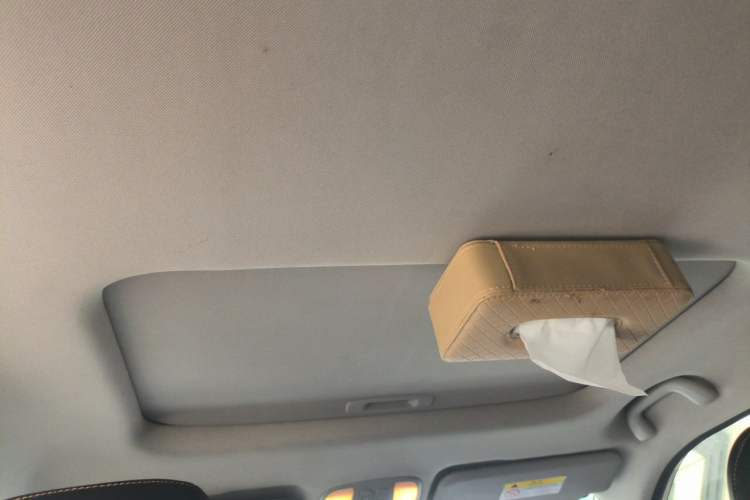Used JAC Group Refine S4 2019 1.6L CVT Superior Edition Headliner