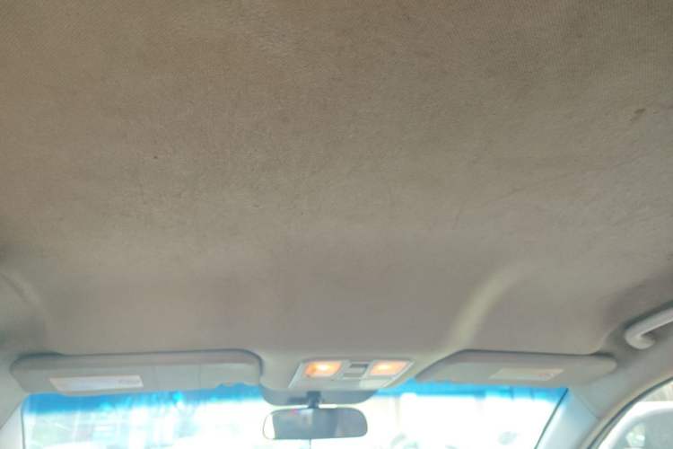 Used JAC Group Refine S5 2013 2.0T Manual New Edition Headliner
