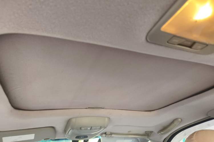 Used JAC Group Rein 2011 2.0L Two-Wheel Drive Luxury Edition Headliner