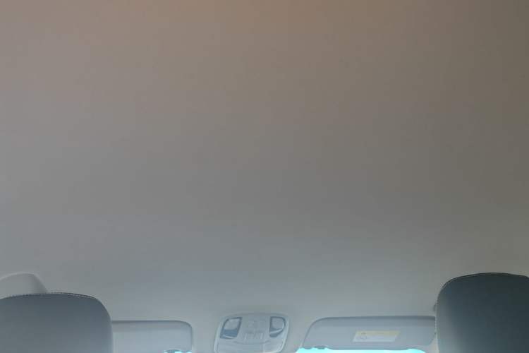 Used JAC Group X7 2020 1.5TGDI Automatic Free-Style Model Headliner
