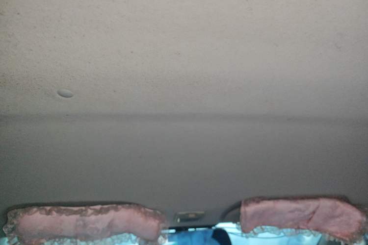 Used JAC Group Yueyue 2012 CROSS 1.0L Comfort Model Headliner