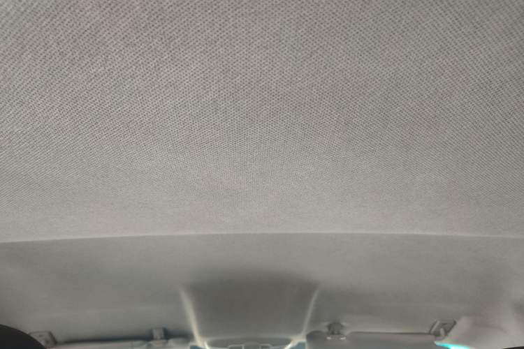 Used JAC iEV 2015 iEV4 Luxury Smart Model Headliner