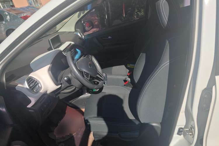 Used JAC iEV6E 2017 iEV6E Left Front Seat