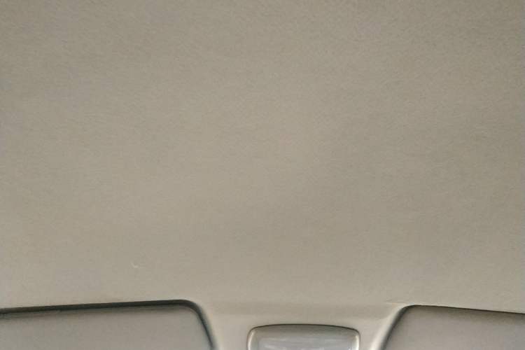 Used JAC Refine 2008 2.4L Colorful Journey Gasoline Manual Basic Version HFC4GA1-C Headliner