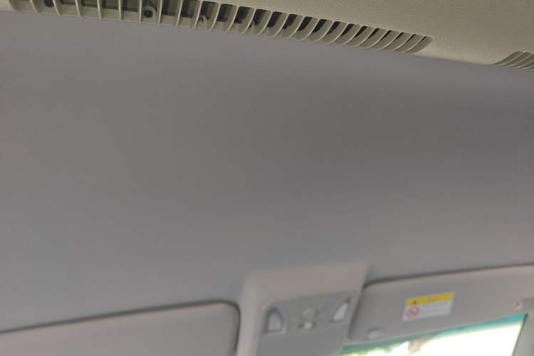 Used JAC Refine L5 2022 2.0T Automatic Business Edition Headliner