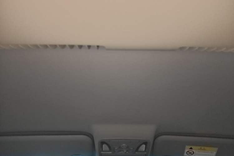 Used JAC Refine L5 2022 2.0T Automatic Business Edition Headliner
