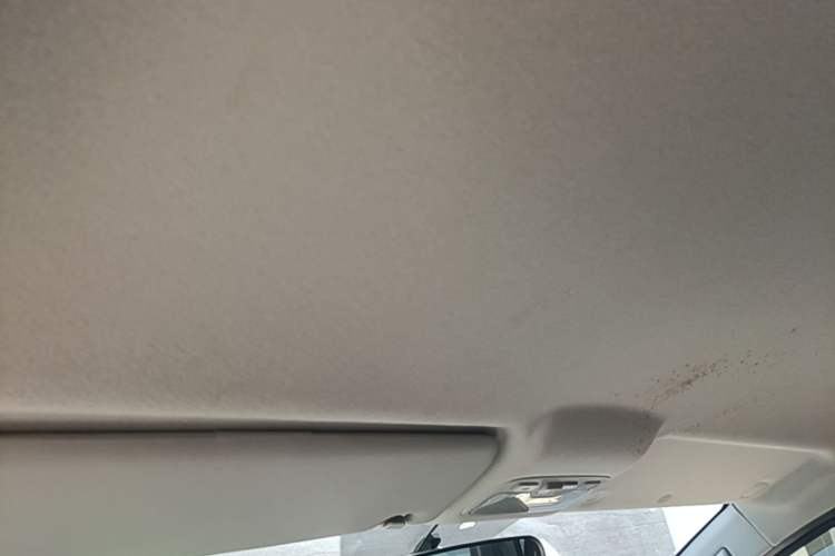 Used JAC Refine M3 2019 PLUS Maker Edition 1.8L Luxury Model Headliner