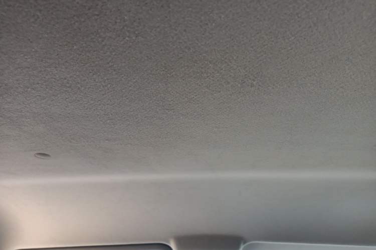 Used JAC Refine M3 2019 PLUS Maker Edition 1.8L Luxury Model Headliner