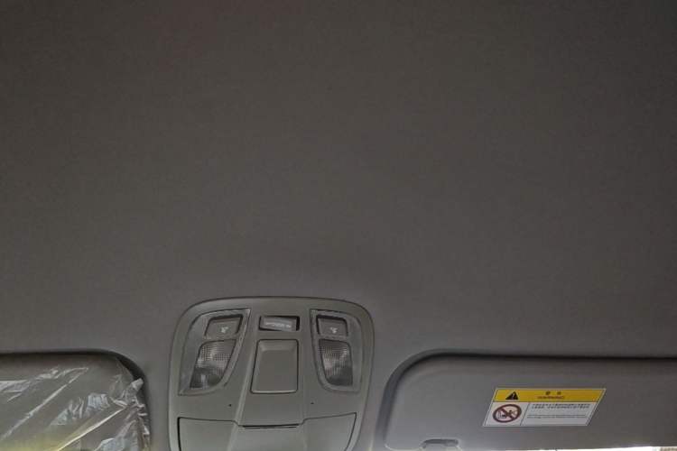 Used JAC Refine M4 2016 2.0L Manual Luxury Version Headliner