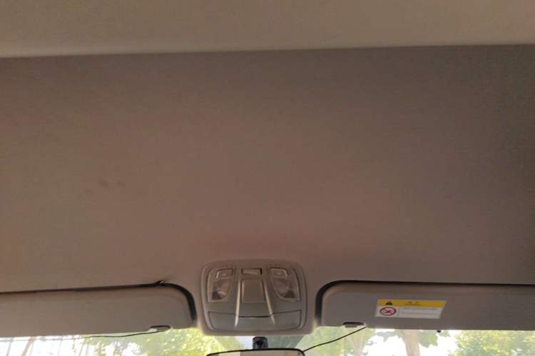 Used JAC Refine M4 2016 2.0L Manual Luxury Version Headliner
