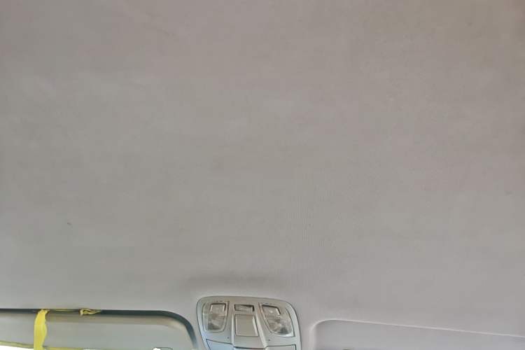 Used JAC Refine M4 2016 2.0L Manual Comfort Edition Headliner