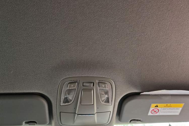 Used JAC Refine M4 2018 2.0L Manual Express Version Headliner