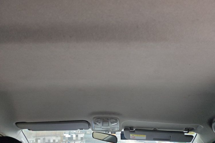 Used JAC Refine M4 2018 2.0L Manual Express Version Headliner