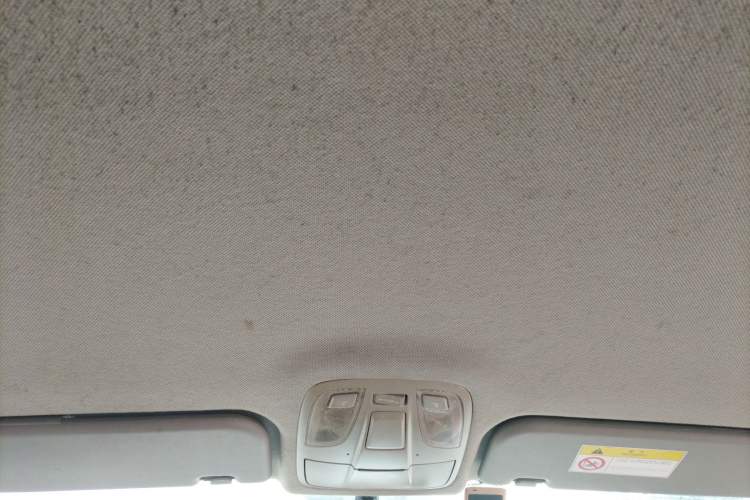 Used JAC Refine M4 2018 2.0L Manual Express Version Headliner