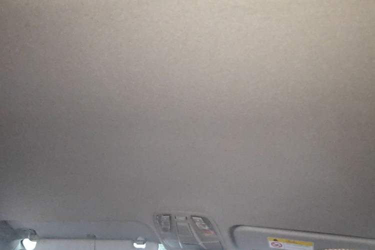 Used JAC Refine M4 2019 Business & Travel Series 2.0L Manual Comfort Model China VI Headliner