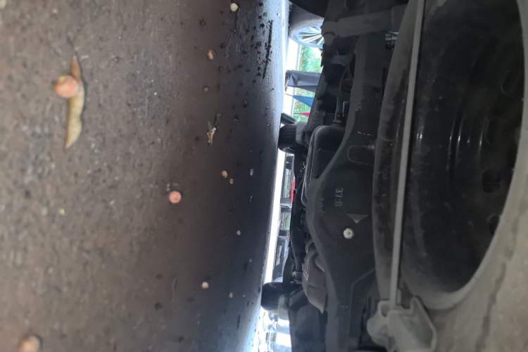 Used JAC Refine M4 2019 Business & Travel Series 2.0L Manual Comfort Model China VI Chassis Rear