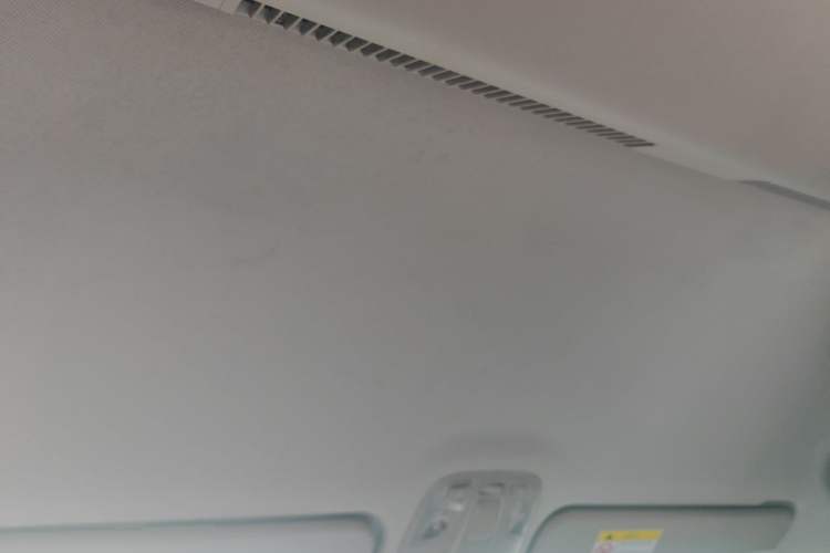 Used JAC Refine M4 2020 2.0 CTI Diesel Manual - Jingxiang Version China VI Standard Headliner