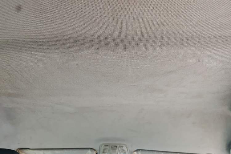 Used JAC Refine M4 2021 2.0L Manual Commercial Edition Headliner